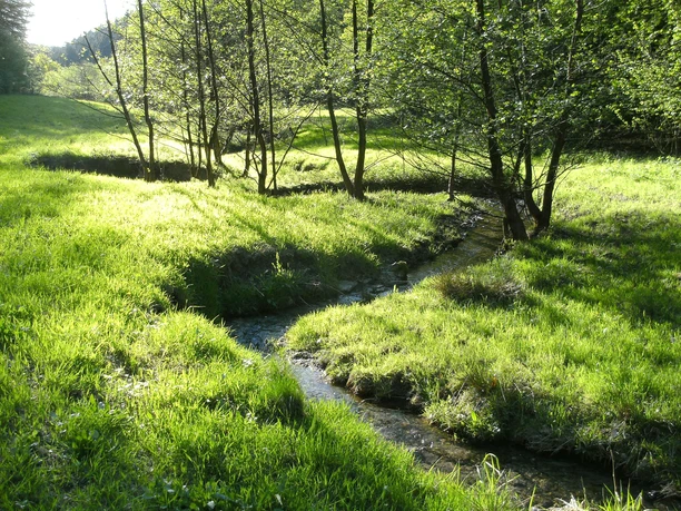 Bachlehrpfad Selbach Bachlehrpfad Selbach