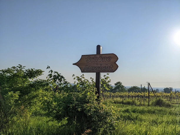 Wegweiser zur Aussicht Wegweiser zur Aussicht