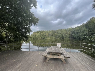 Blick von Terrasse auf Waldsee