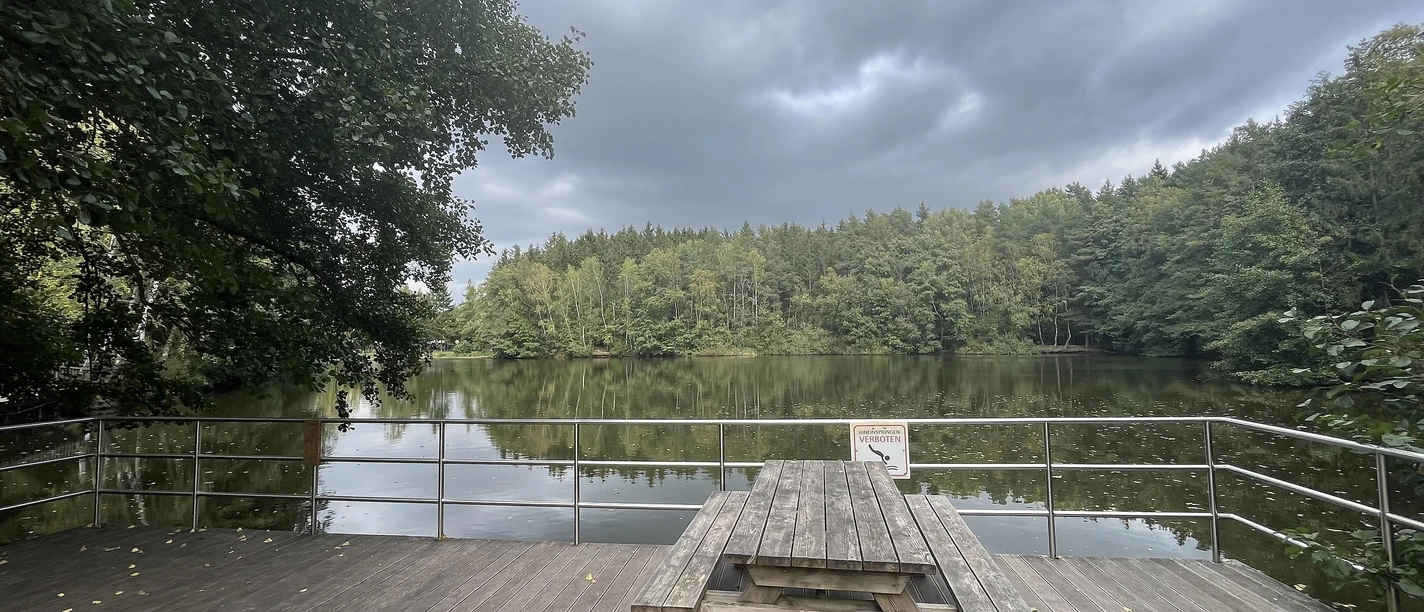 Blick von Terrasse auf Waldsee