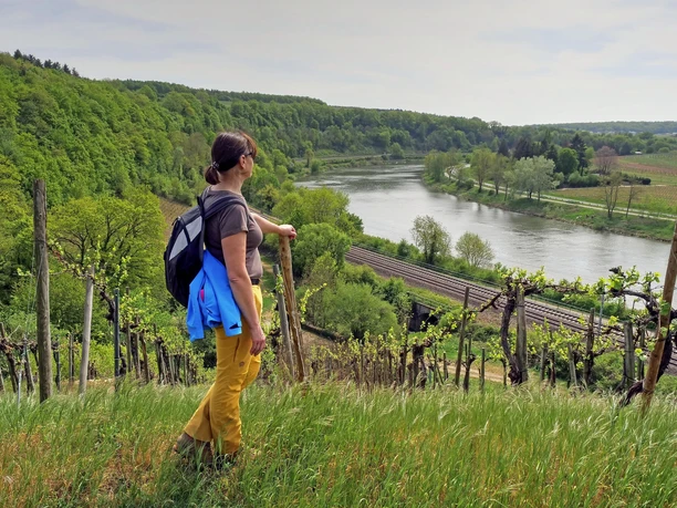 Blick auf die Obermosel
