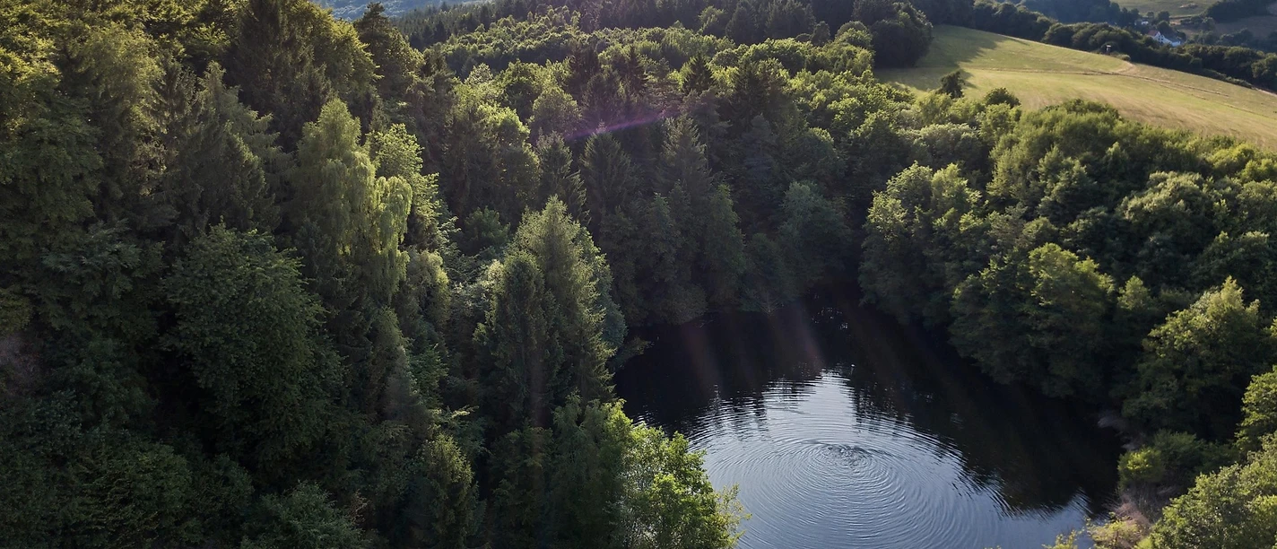 Malbergsee