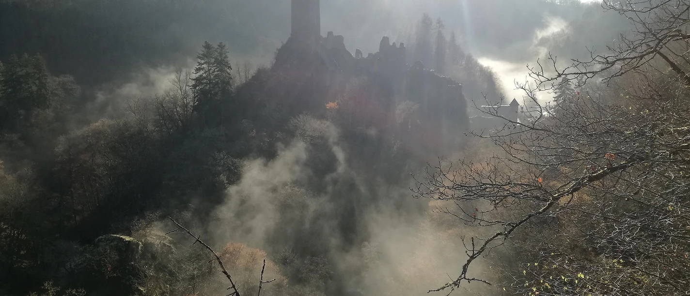 Niederburg im Morgennebel