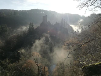 Niederburg im Morgennebel