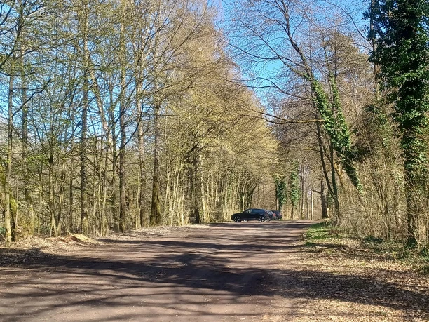 Wanderparkplatz SToppelberg - Teil 2