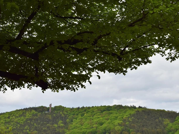 Sicht auf den Kaiser-Wilhelm-Turm Marburg