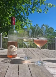 Weingut Schafhausen Kanzem (01)