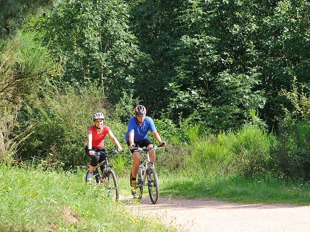 Moutainbiken auf der MTB 1 im Sankt Wendeler Land