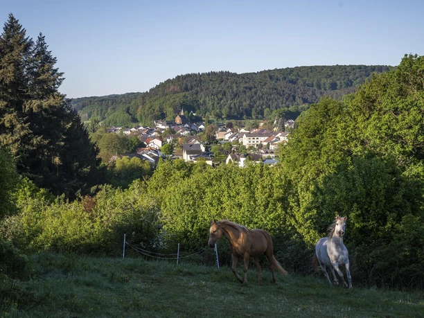 Saar-Leuktal-Panorama (2)