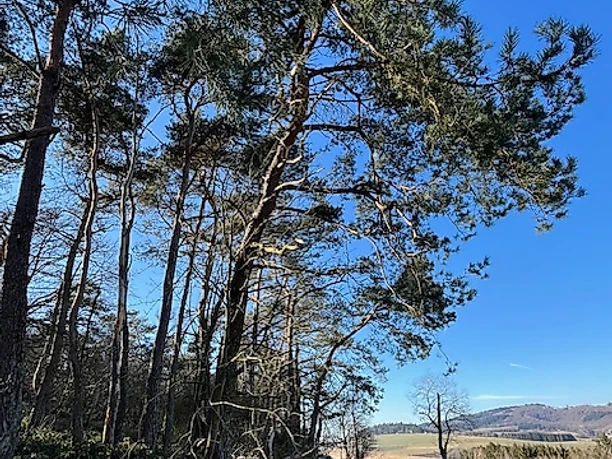 Heimatflimmern Wandermarathon