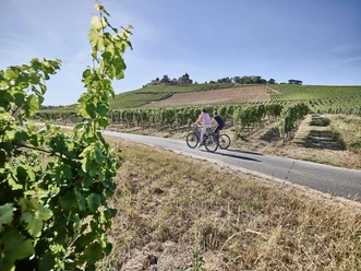 Radfahren vorbei am Schloss Johannisberg