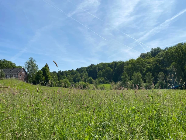 Aussicht auf Ahlbach