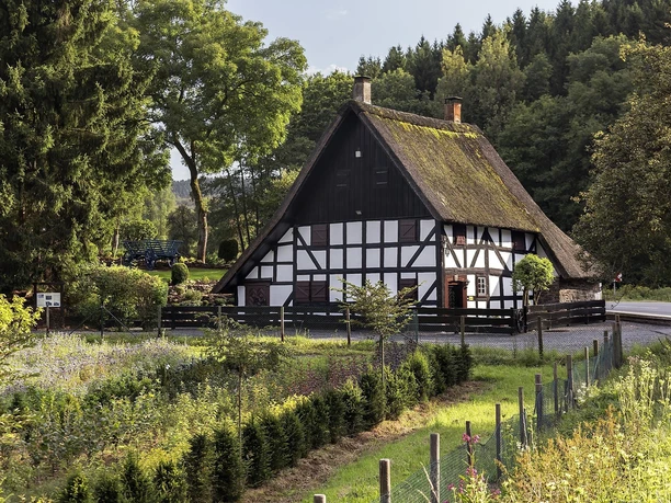 Steinches Mühle