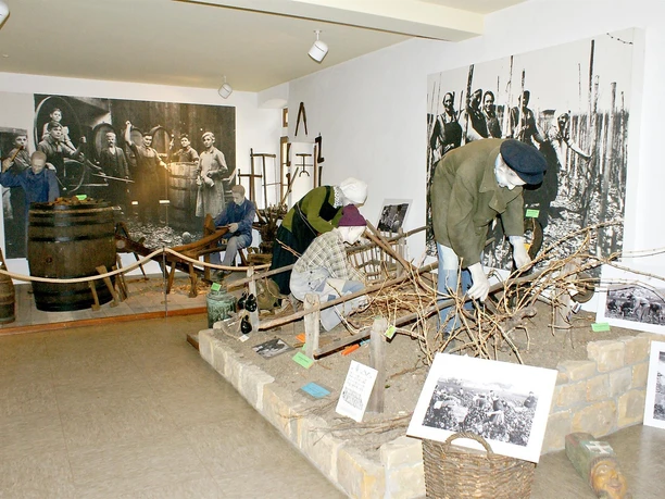 Museum für Weinkultur, Deidesheim 2