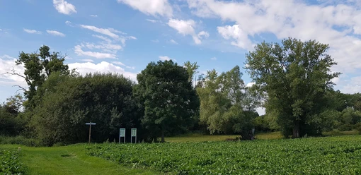 Flügelsbach