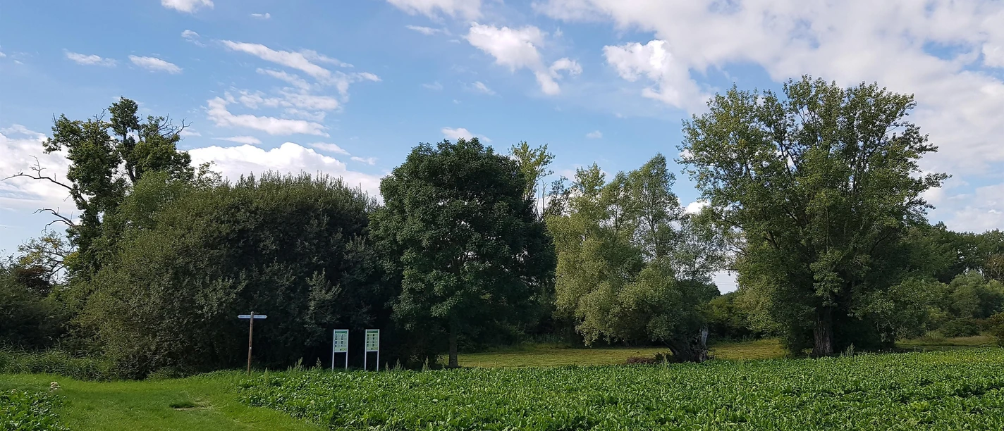 Flügelsbach