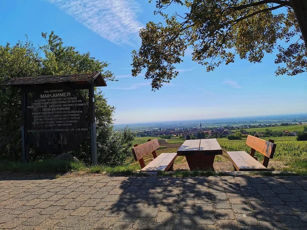 Am Wanderweg Deutsche Weinstraße