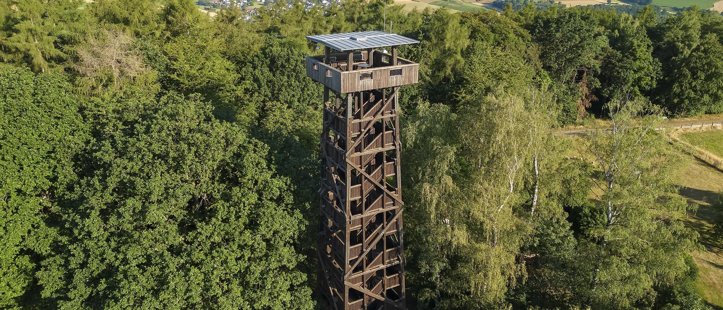 Hunburgturm Burgholz