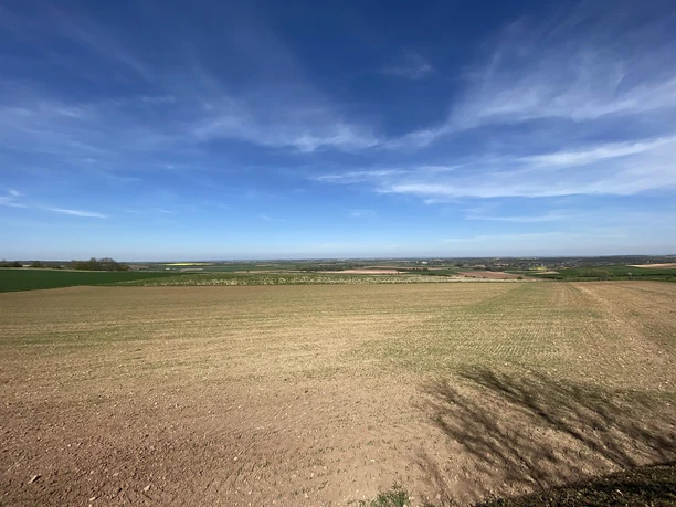 Blick in die Bördelandschaft Blick in die Bördelandschaft