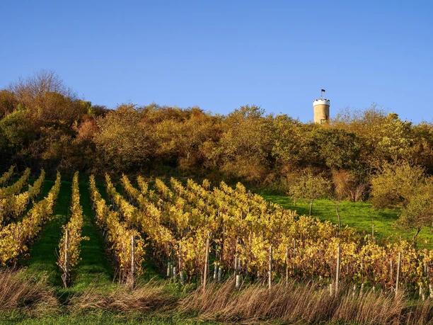 Wartturm im Herbst