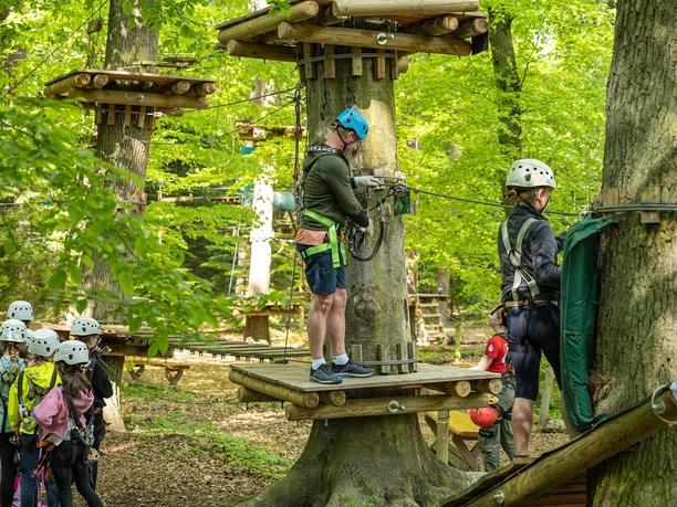AbenteuerPark Kandel Fun Forest 4