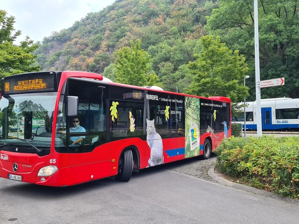 Der Rurtalbus