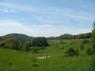 Völkersweiler Umgebung