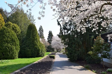 Eingang Neuer Botanischer Garten Marburg