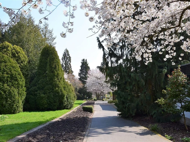 Eingang Neuer Botanischer Garten Marburg