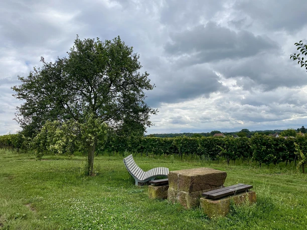 Picknickplatz „Dorfblick“ (3)