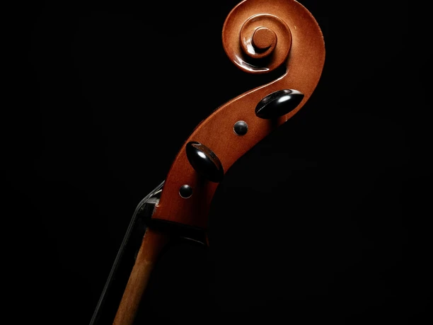 Violoncello