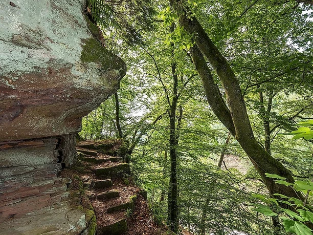 5660_Diemerstein_Burgruine_2018