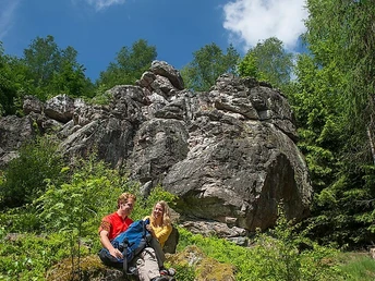 Rast an einer Felsformation