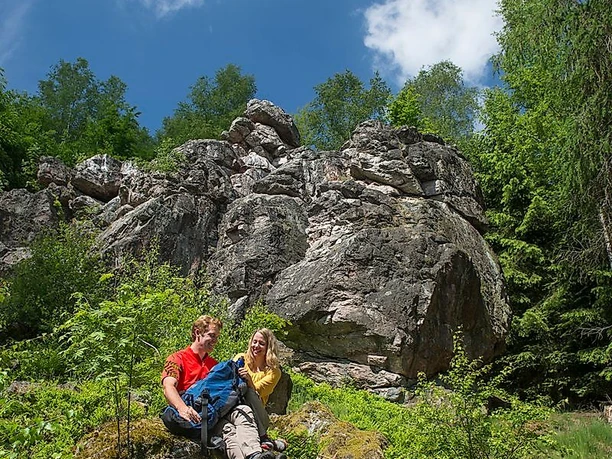 Rast an einer Felsformation