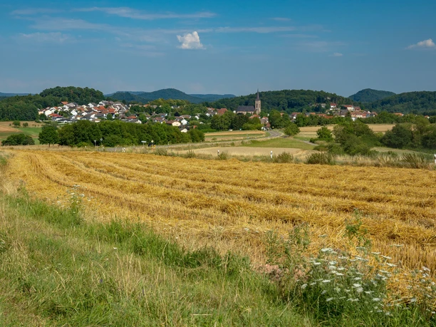 Blick vom Orleberg auf Clausen