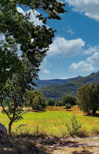 Annweiler Dreißig Rastplatz PWV