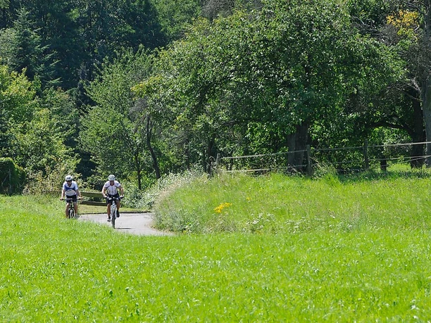 Moutainbiken auf der MTB 1 im Sankt Wendeler Land