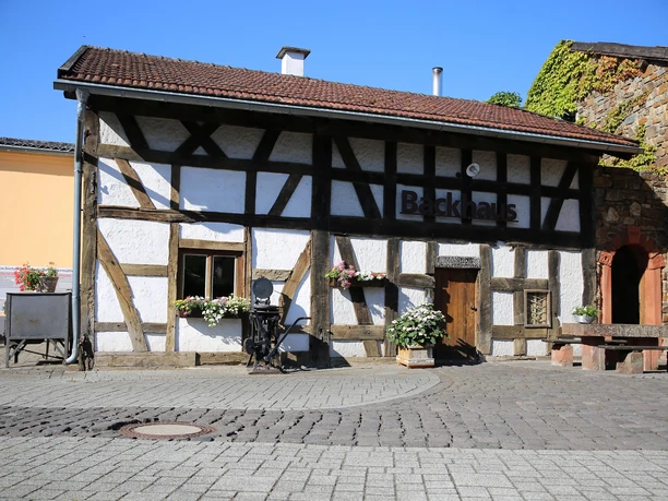Backhaus