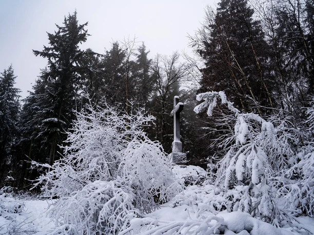 Wetterkreut Burrweiler im Wald