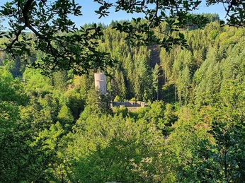 Blick auf die Frauenburg bei Frauenberg