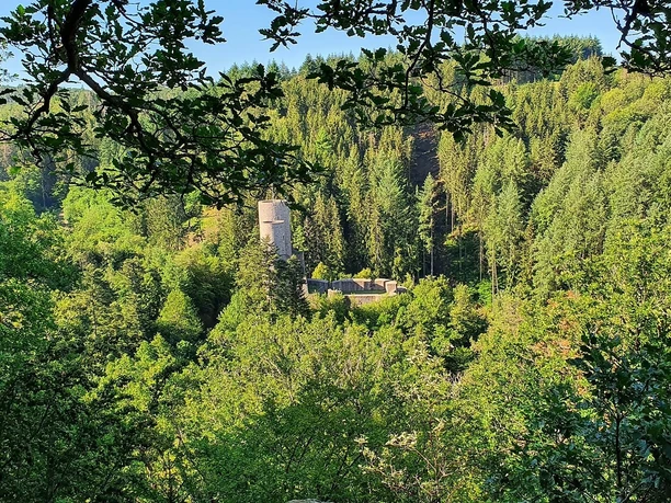 Blick auf die Frauenburg bei Frauenberg