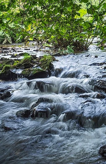 Bachlauf im Naturpark