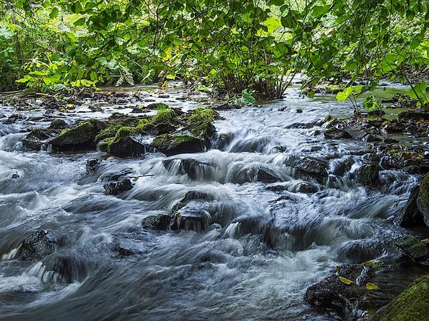 Bachlauf im Naturpark