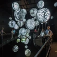 Erlebnisausstellung „Wildnis(t)räume“