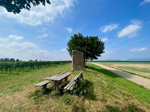 Picknickplatz "Freisitz" Essingen (6)