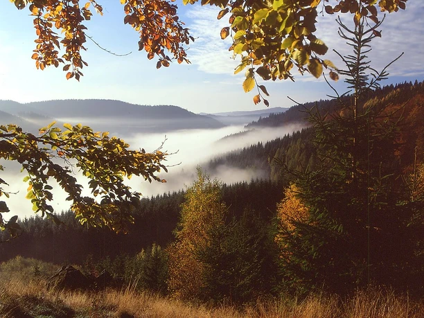 Lahntal bei Feudingen
