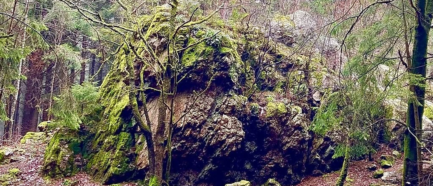 Blick auf den Seiferingstein