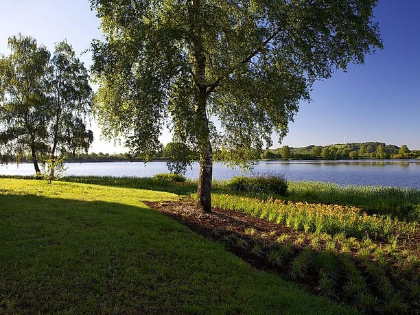 Losheim_Brigitte Krauth6