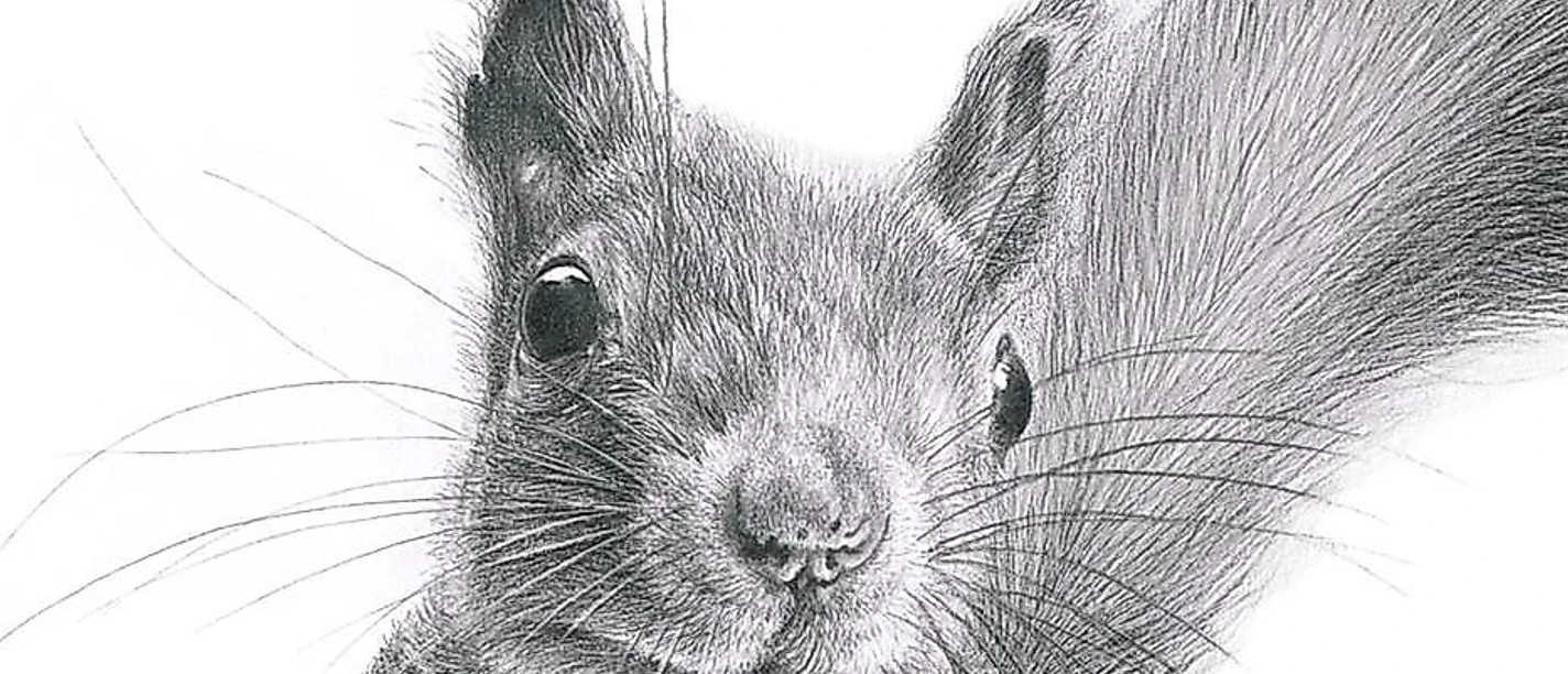 Adam - endlich frei? -