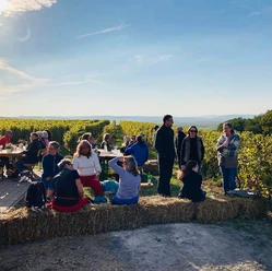 Wein Picknick Hiwweltour Aulheimer Tal